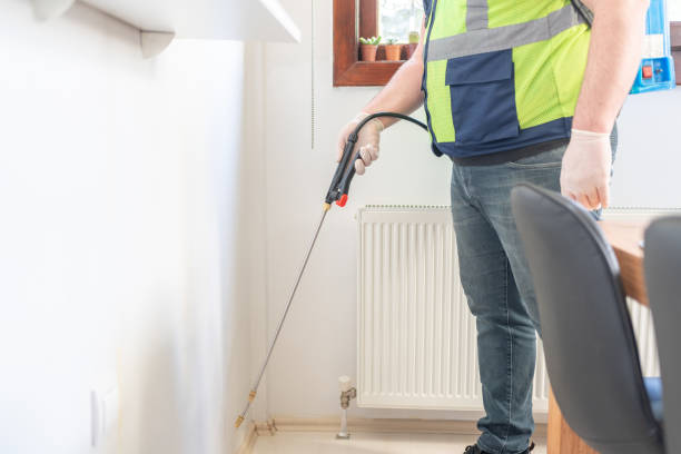 Best Termite Control Services  in Beaumont, CA